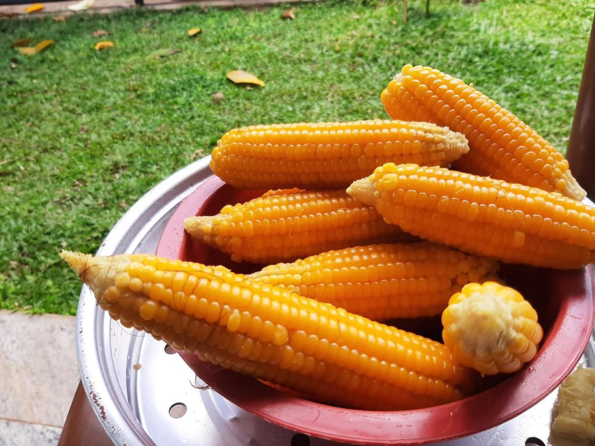 Mangohut Joy Apartman Anuradhapura Kültér fotó